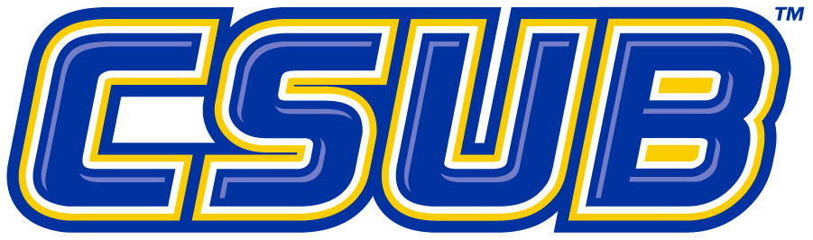 CSU Bakersfield Roadrunners 2011-2019 Wordmark Logo diy DTF decal sticker